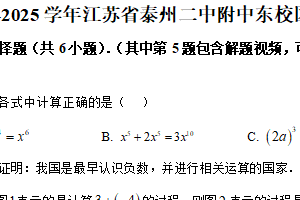 江苏省泰州市第二中学附属初中东校区2024-2025学年九年级下学期开学数学试卷（含解析）