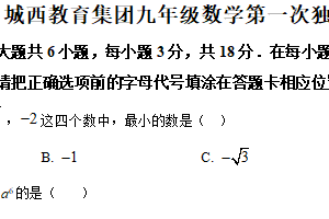 江苏省泰州市姜堰区城西实验学校2024-2025学年九年级下学期3月月考数学试题（含解析）