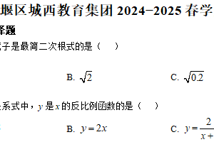 江苏省泰州市姜堰区城西实验学校2024-2025学年九年级下学期5月月考数学试题（含解析）