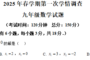 江苏省泰州市姜堰实验初级中学2024-2025学年九年级下学期3月月考数学试题（含解析）