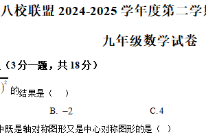 江苏省泰州市靖江市八校联盟2024-2025学年九年级下学期3月月考数学试题（含解析）