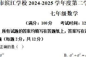 江苏省泰州市靖江市滨江学校、兴化市明升实验学校2024-2025学年九年级下学期3月月考数学试题（含解析）