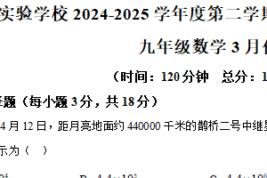 江苏省泰州市靖江市实验学校2024-2025学年九年级下学期3月月考数学试题（含解析）