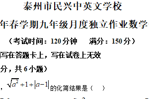 江苏省泰州市民兴中英文学校2024-2025学年九年级下学期第一次月考数学试卷（含解析）