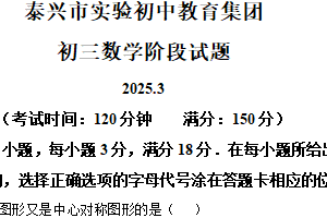 江苏省泰州市泰兴市实验初级中学2024-2025学年九年级下学期3月月考数学试题（含解析）