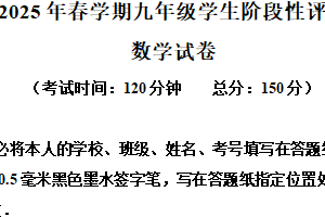 江苏省泰州市兴化市2024-2025学年九年级下学期3月月考数学试题（含解析）