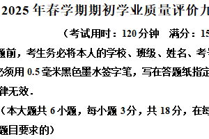 江苏省泰州市兴化市2024-2025学年九年级下学期开学考试数学试题（含解析）