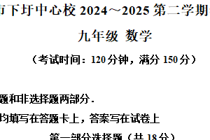 江苏省泰州市兴化市下圩中心校2024～2025学年下学期学科测试九年级数学试卷（含解析）