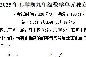 江苏省泰州中学附属初级中学2024-2025学年下学期九年级第一次月考数学试卷（含解析）