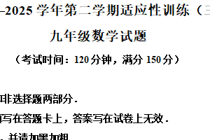 江苏省泰州中学附属初级中学2024-2025学年下学期九年级数学三模试题（含解析）