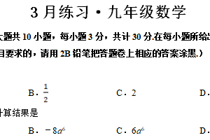江苏省无锡市积余实验学校2024-2025学年九年级下学期3月练习数学试题（含答案）