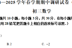 江苏省无锡市锡山区2024-2025学年九年级下学期期中调研数学试题（含解析）