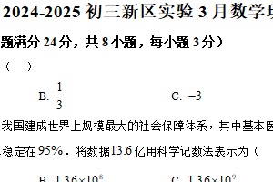 江苏省无锡市新吴区实验中学2024-2025学年下学期3月月考九年级数学试卷（含解析）