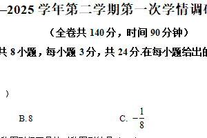 江苏省徐州市鼓楼区徐州市东苑中学2024-2025学年九年级下学期3月月考数学试题（含解析）