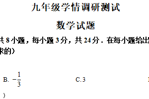 江苏省徐州市沛县2024-2025学年九年级下学期3月月考数学试题（含解析）