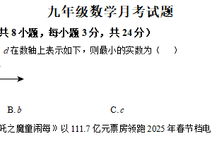 江苏省徐州市沛县五中集团联盟2024-2025学年九年级下学期3月月考数学试题（含解析）