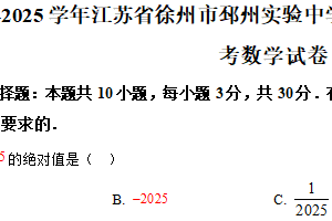 江苏省徐州市邳州实验中学等多校联考2024-2025学年九年级下学期月考数学试卷（含解析）