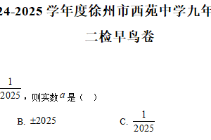 江苏省徐州市徐州市西苑中学2024-2025学年  九年级数学——二检早鸟卷（含解析）