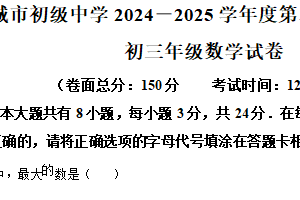 江苏省盐城市初级中学（康居路）2024-2025学年下学期九年级数学期中 试卷（含解析）