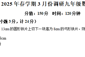 江苏省盐城市大丰区 2024-2025学年九年级下学期3月月考数学试题（含解析）
