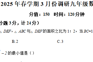 江苏省盐城市东台市2024-2025学年九年级下学期3月月考数学试题（含解析）