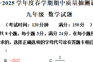 江苏省盐城市东台市第五教育联盟期中2024-2025学年九年级下学期4月期中数学试题（含解析）