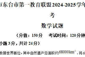 江苏省盐城市东台市第一教育联盟2024-2025学年下学期3月月考九年级数学试题（含解析）