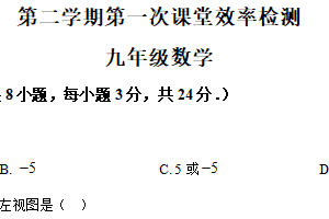 江苏省扬州市高邮市高邮镇秦邮初级中学2024-2025学年九年级下学期第一次月考数学试卷（含解析）