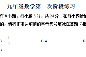 江苏省扬州市高邮市城北中学2024-2025学年九年级下学期第一次课堂练习数学试题（含解析）