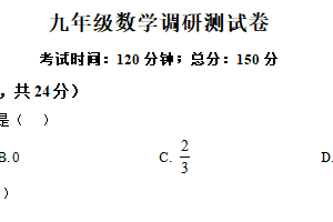 江苏省扬州市宝应县氾水镇初级中学2024-2025学年九年级下学期3月月考数学试题（含解析）