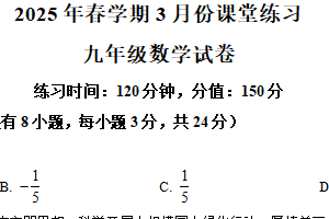 江苏省盐城市盐都区第一共同体2024-2025学年九年级下学期3月月考数学试题（含解析）