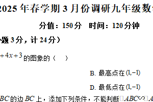 江苏省盐城市盐城经济技术开发区2024-2025学年九年级下学期3月月考数学试题（含解析）
