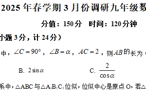 江苏省盐城市响水县实验初级中学2024-2025学年下学期3月份调研九年级数学试卷（含解析）