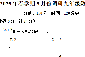 江苏省盐城市响水县2024-2025学年九年级下学期3月联考数学试题（含解析）