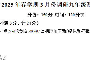 江苏省盐城市射阳县 2024-2025学年九年级下学期3月月考数学试题（含解析）