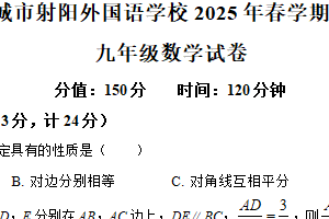 江苏省盐城市射阳外国语学校2024-2025学年下学期3月份调研九年级数学试卷（含解析）