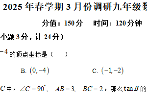 江苏省盐城市阜宁县 2024-2025学年九年级下学期3月月考数学试题（含解析）