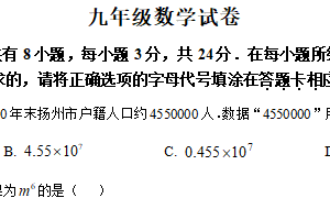 江苏省扬州市江都区八校联谊2024-2025学年九年级下学期数学第一次月考试卷（含解析）