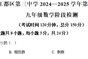 江苏省扬州市江都区第三中学2024-2025学年九年级下学期3月数学阶段检测（含解析）