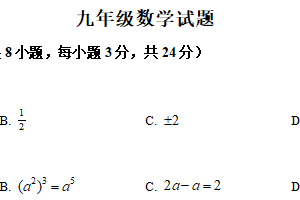 江苏省扬州市江都区邵樊片2024-2025学年九年级第二次模拟考试数学试卷（含解析）