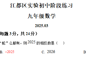 江苏省扬州市江都区实验初级中学2024-2025学年九年级下学期第一次月考数学试卷（含解析）