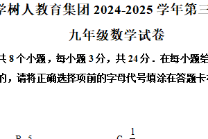 江苏省扬州中学树人教育集团 2024-2025 学年第三次模拟考试 九年级数学试卷（含解析）