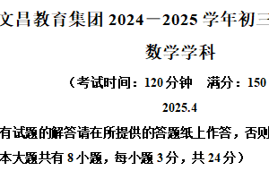 江苏省扬州中学文昌教育集团2024-2025学年下学期九年级第一次模拟考试数学 试卷（含解析）