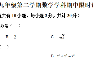 江苏省镇江市丹阳市华南学校2024-2025学年下学期九年级数学期中试卷（含解析）