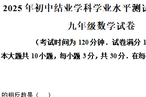 江苏省镇江市润州区2024-2025学年九年级下学期数学中考二模试卷（含解析）