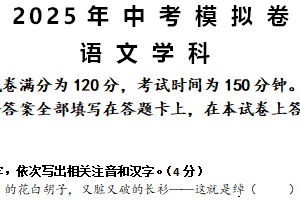 2025年江苏省常州市河海实验学校中考三模语文试题（含答案）