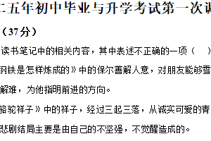 2025年江苏省淮安市洪泽区部分校中考第一次检测语文试题（含解析）