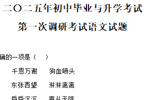 2025年江苏省淮安市淮安经济技术开发区部分校中考第一次检测语文试题（含解析）