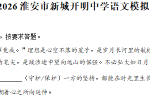 2025年江苏省淮安市淮阴中学新城校区中考一模语文试题（含解析）