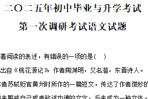 2025年江苏省淮安市金湖县部分校中考第一次检测语文试题（含解析）